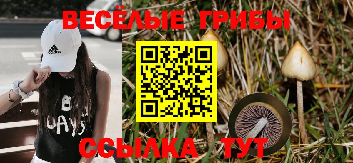 Костомукша  Галлюциногенные грибы Magic Shrooms  Псилоцибиновые грибы мицелий  Вход с VPN 