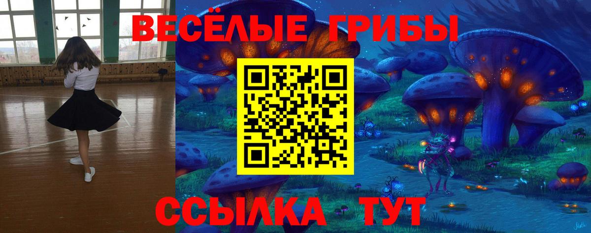 Галлюциногенные грибы мухоморы Костомукша